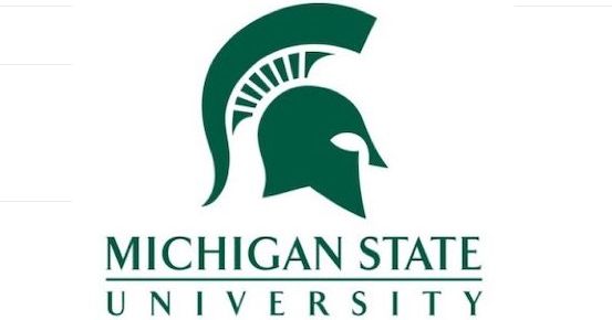michigan state